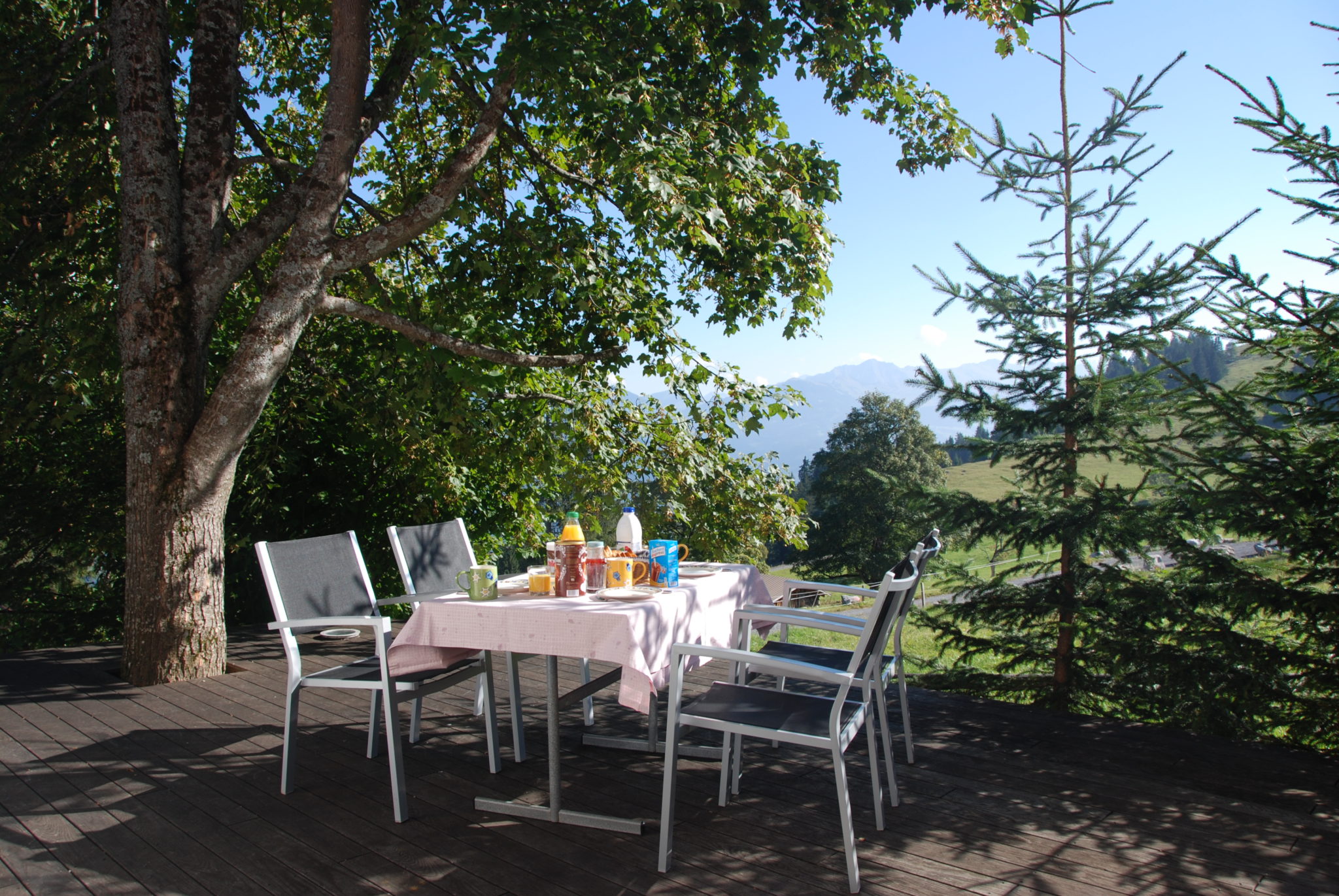 axalp-chalet-oltschi-arteplage