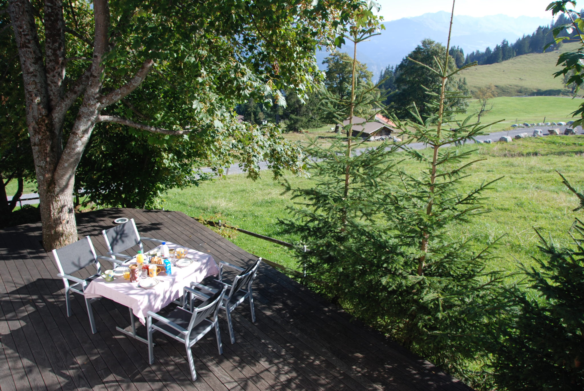 axalp-chalet-oltschi-arteplage