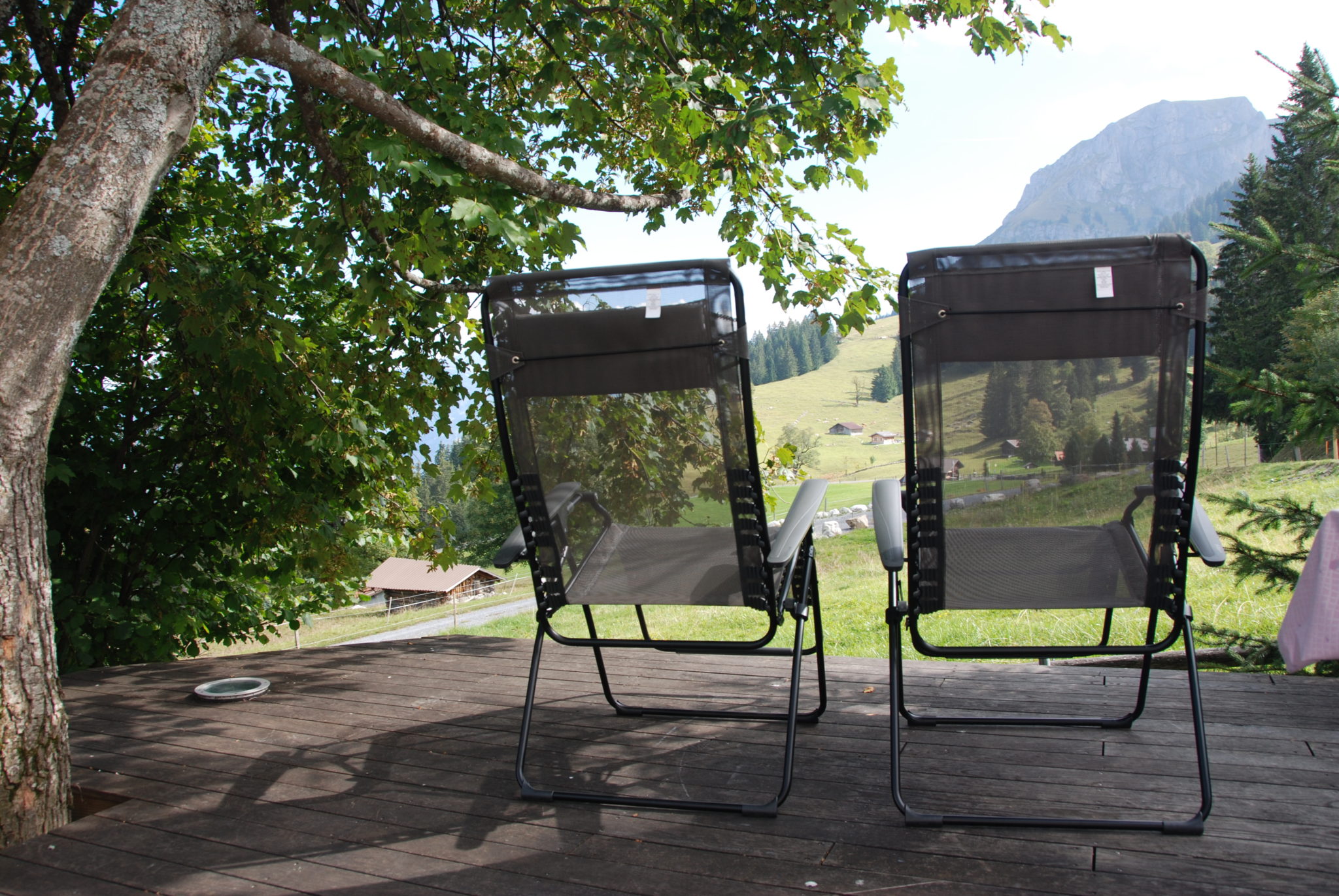 axalp-chalet-oltschi-arteplage